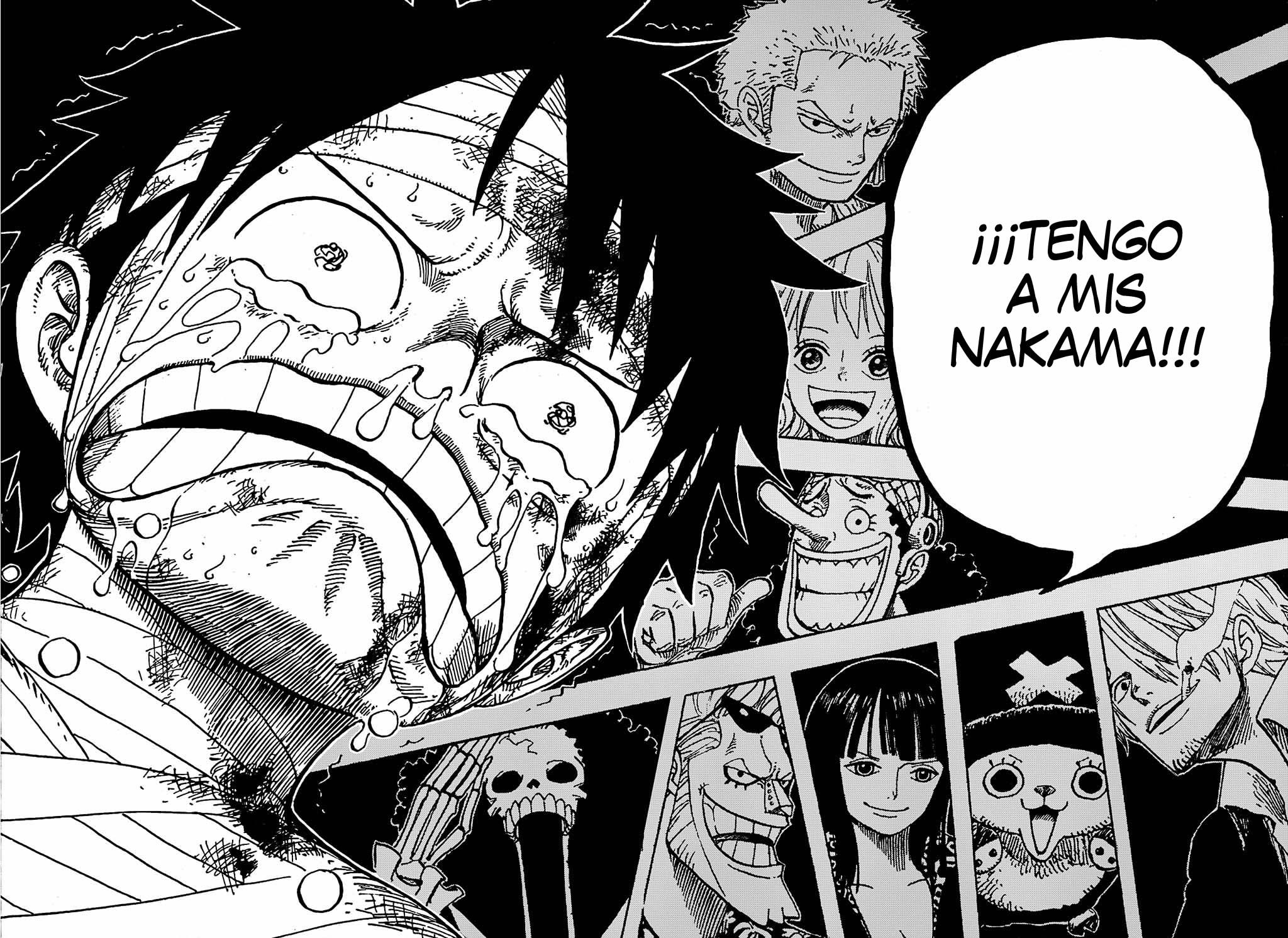Después de perderlo todo, Luffy recuerda a sus nakama